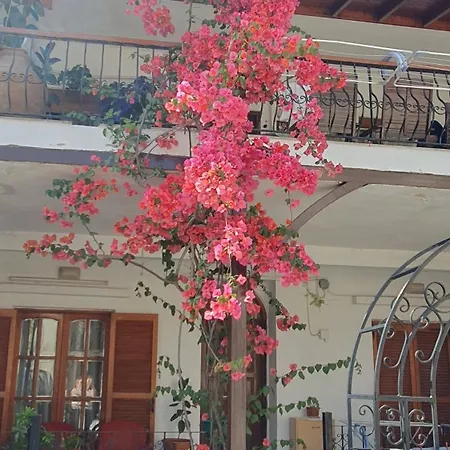 Sweet Dream Apartment Pefkochori